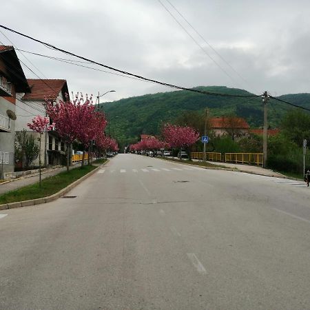 Ferienwohnung Pansion Velickovic Niska Banja Exterior foto