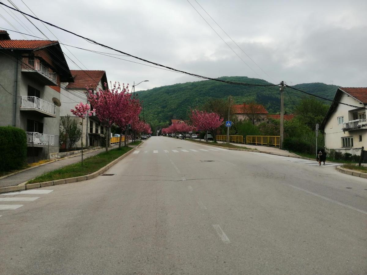 Ferienwohnung Pansion Velickovic Niska Banja Exterior foto