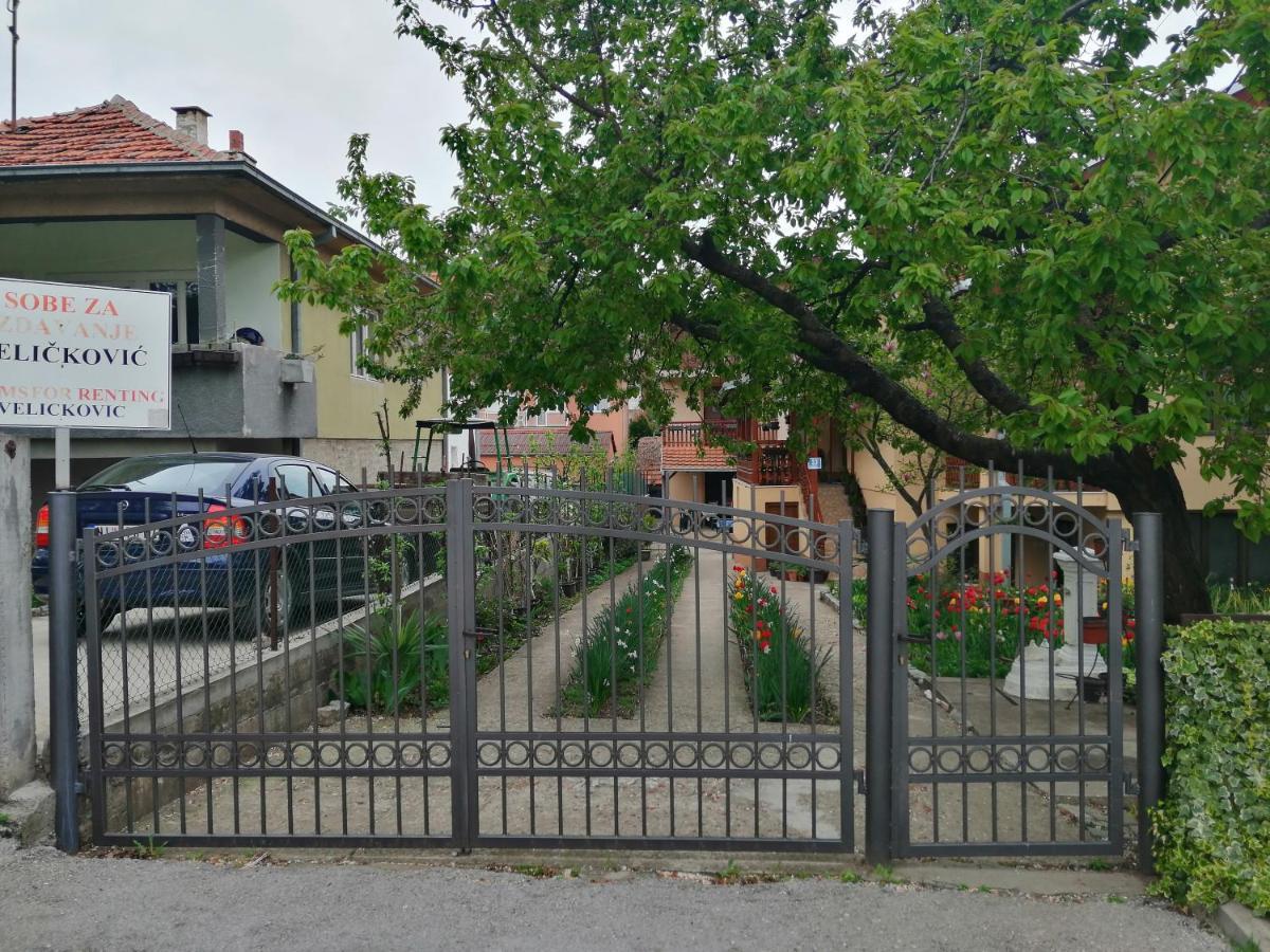 Ferienwohnung Pansion Velickovic Niska Banja Exterior foto