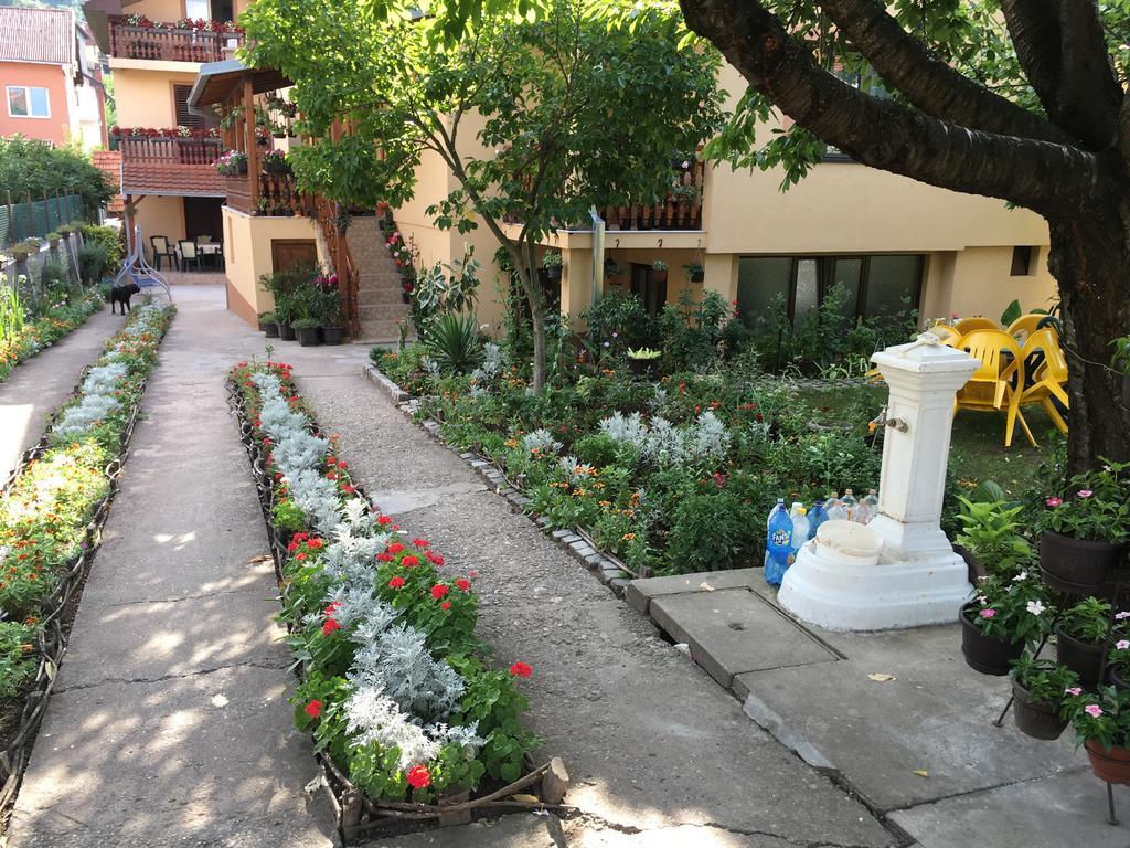 Ferienwohnung Pansion Velickovic Niska Banja Exterior foto