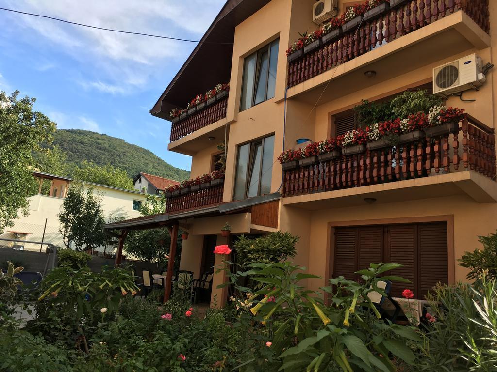 Ferienwohnung Pansion Velickovic Niska Banja Exterior foto