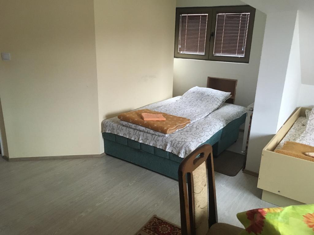 Ferienwohnung Pansion Velickovic Niska Banja Exterior foto