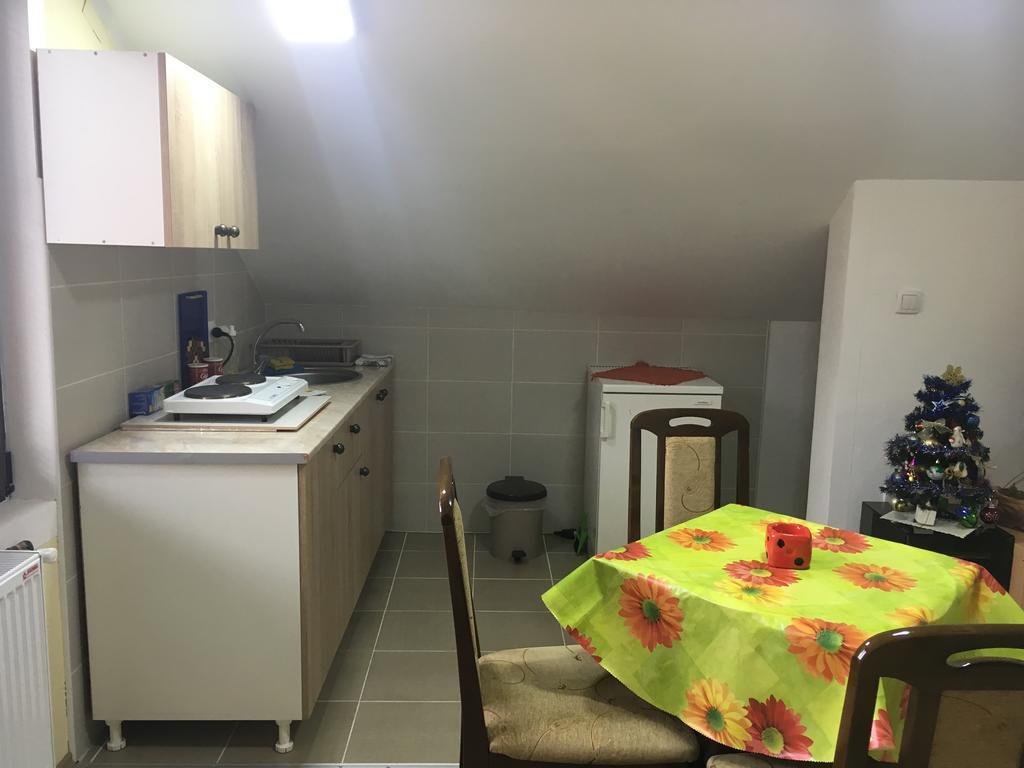 Ferienwohnung Pansion Velickovic Niska Banja Exterior foto