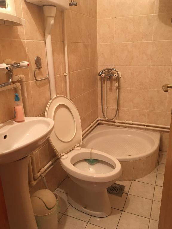 Ferienwohnung Pansion Velickovic Niska Banja Exterior foto