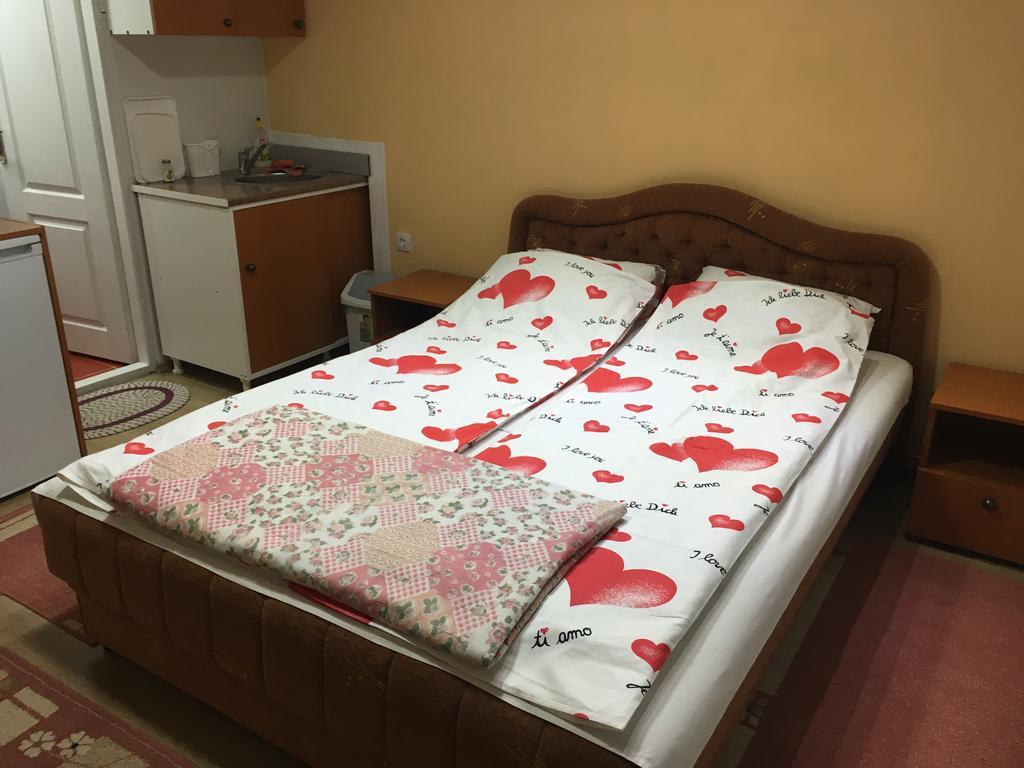 Ferienwohnung Pansion Velickovic Niska Banja Exterior foto