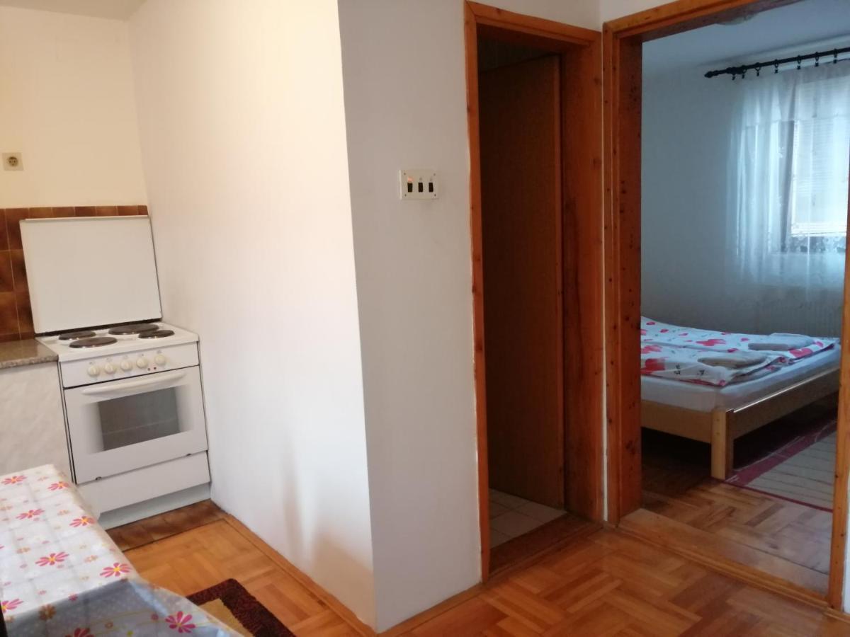 Ferienwohnung Pansion Velickovic Niska Banja Exterior foto